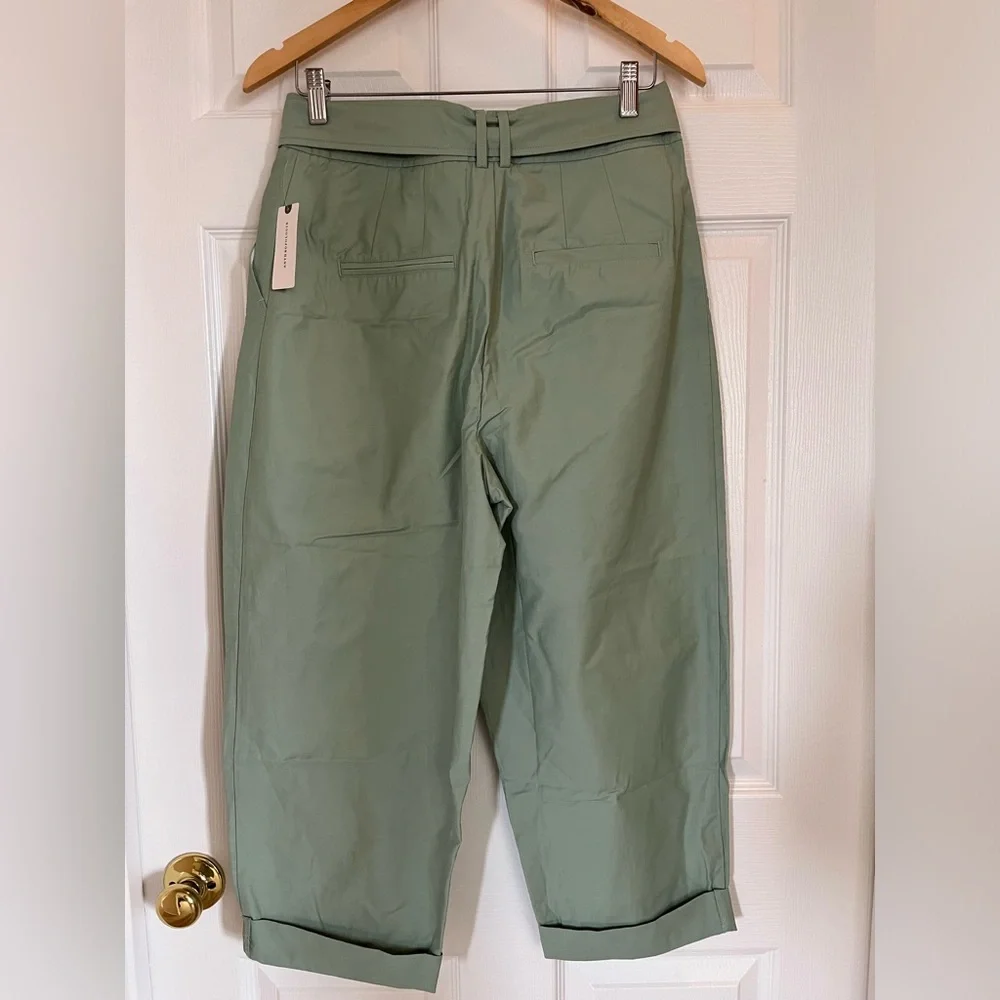 Maeve Light Green Cropped Ankle Pants - Picture 7 of 12